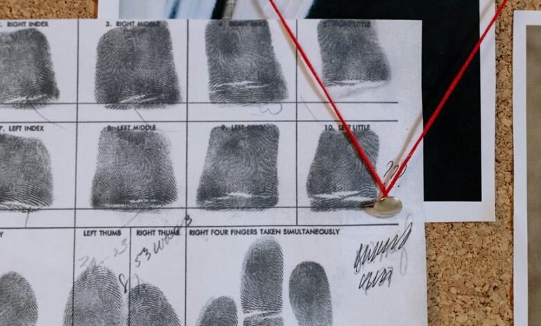 phone number identity search